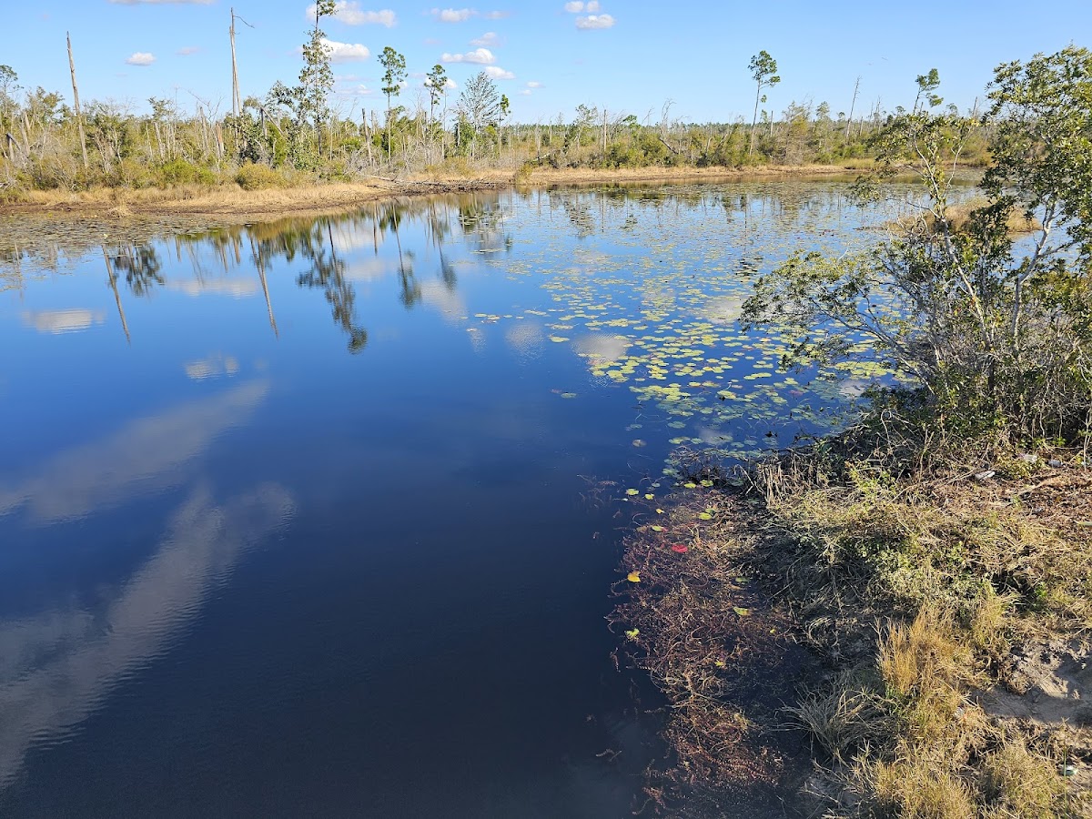 Deer Point Lake