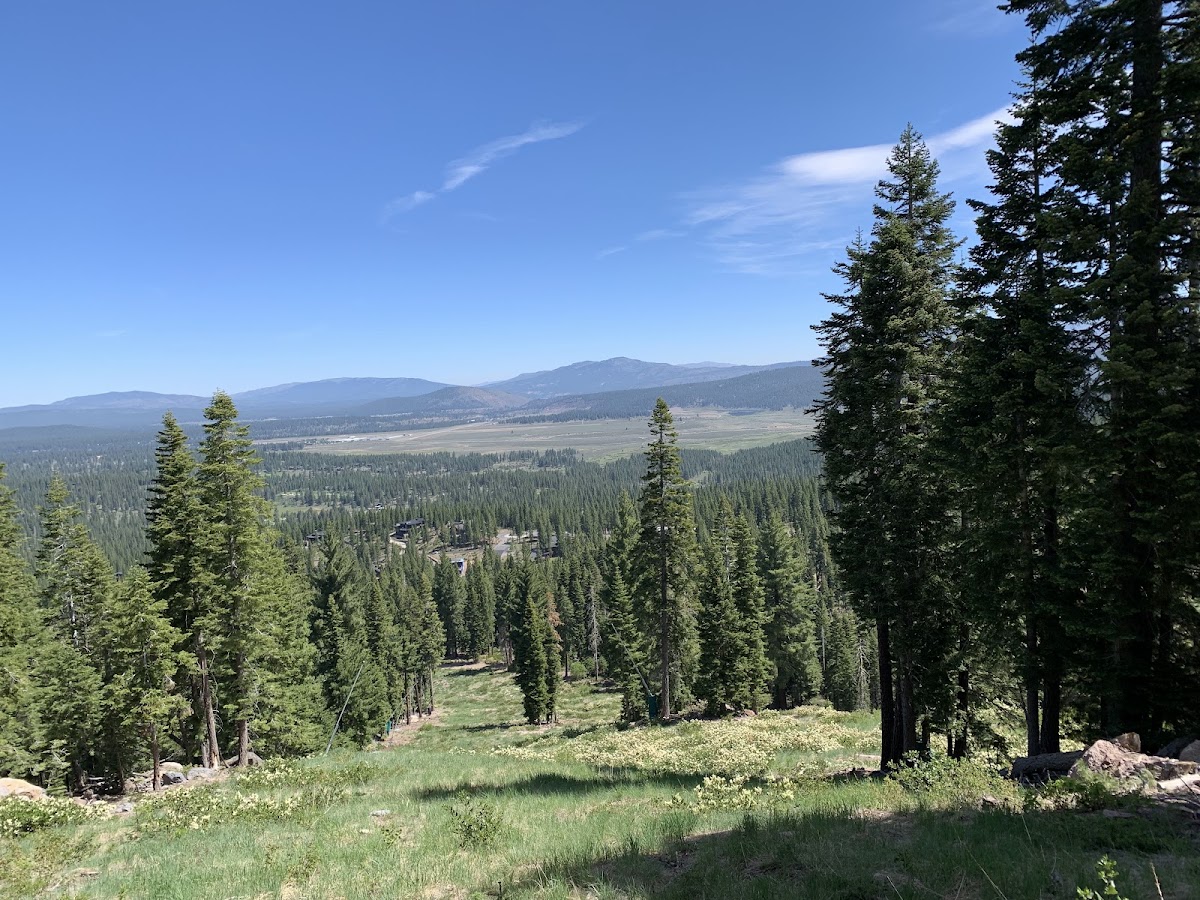 Lookout Lodge photo 2
