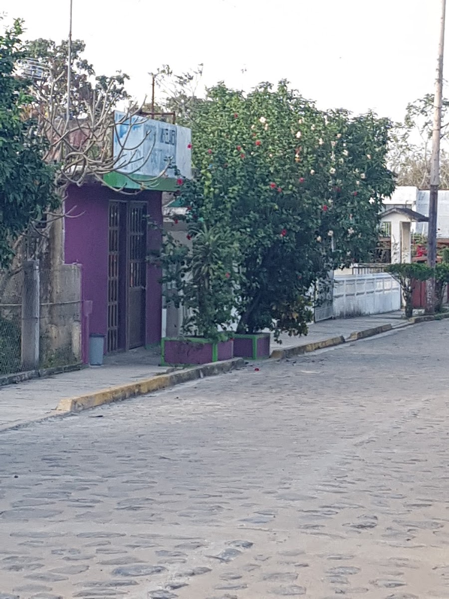 Hotel El Alba photo 2