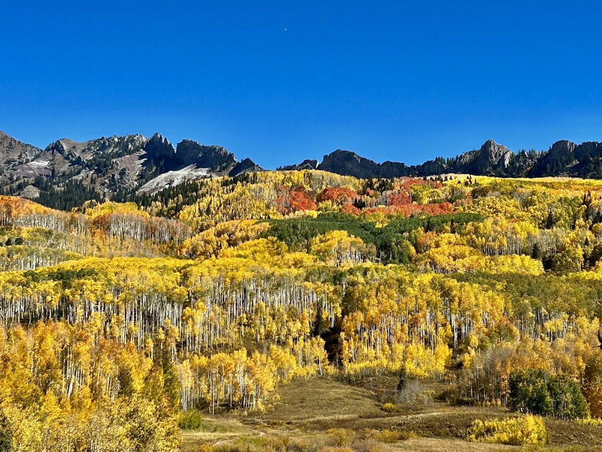 Kebler Pass