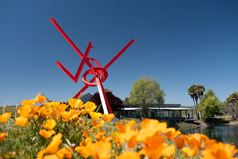 di Rosa Center for Contemporary Art