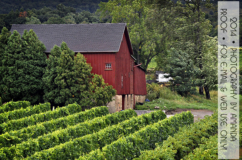Johnson Estate Winery