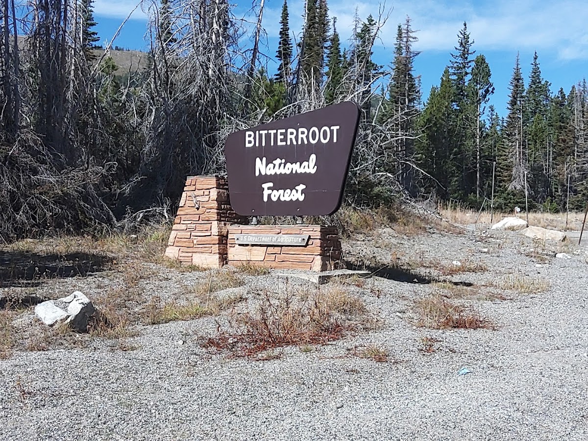Bitterroot National Forest