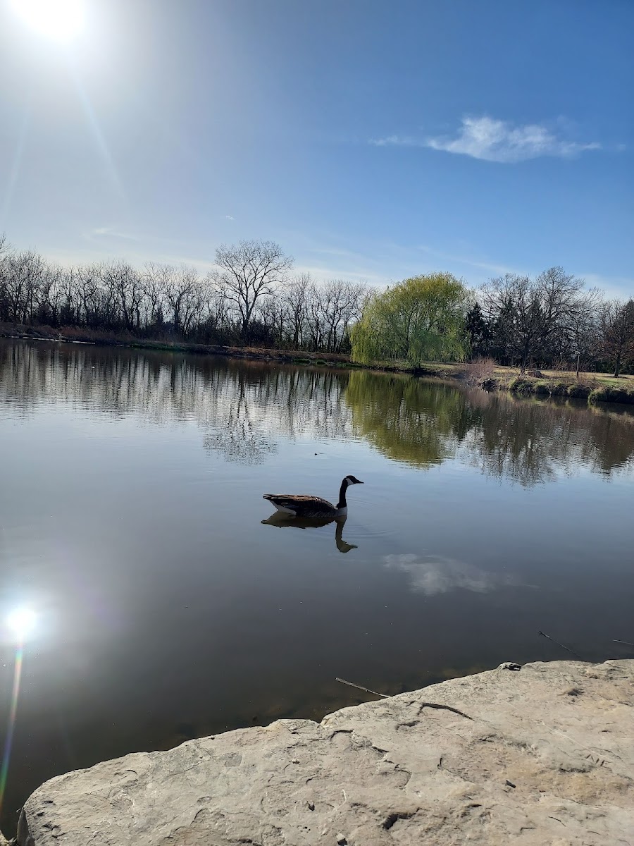 Dyck Arboretum of the Plains