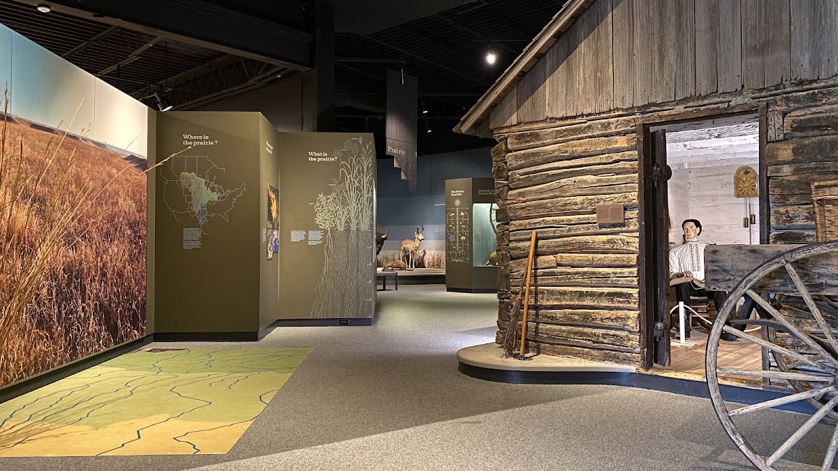 Kauffman Museum