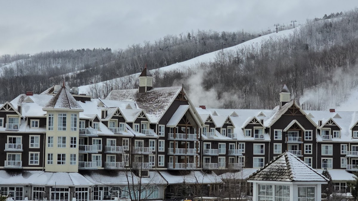 Blue Mountain photo 3