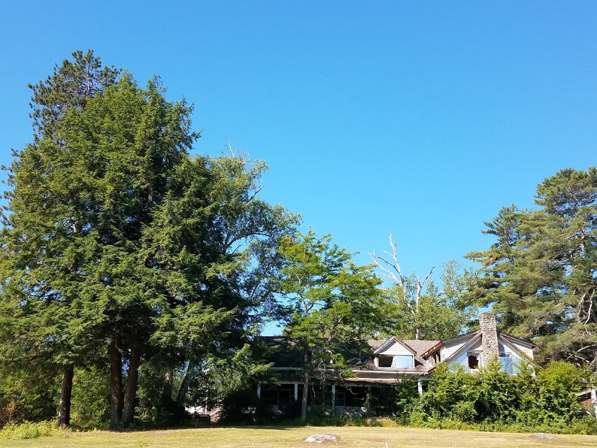 Schroon Lake Motel and Cabins photo 3