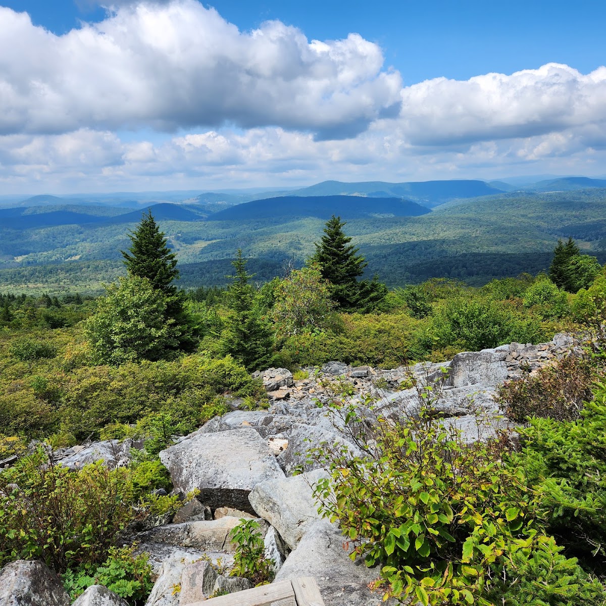 Monongahela National Forest