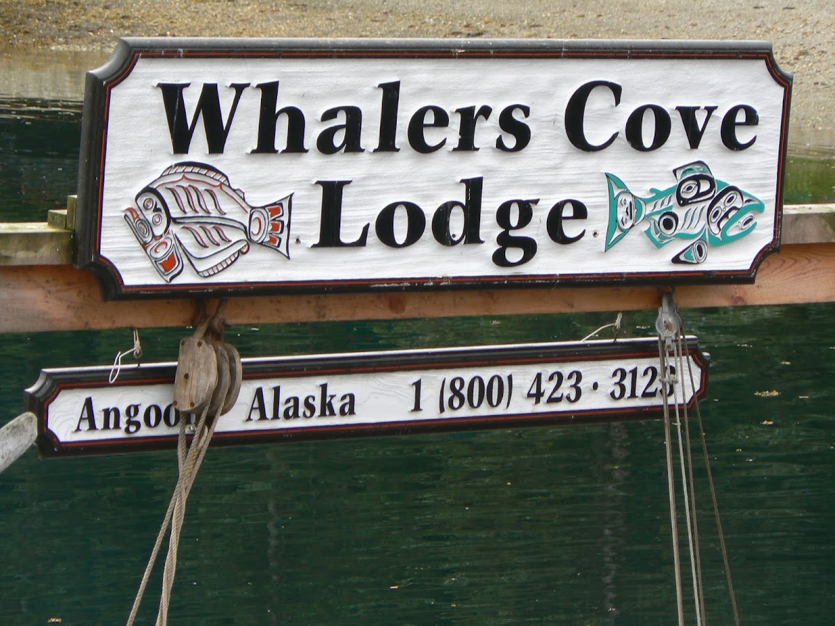 Whaler's Cove Lodge photo 3