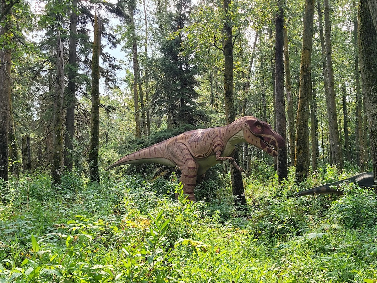 Jurassic Forest