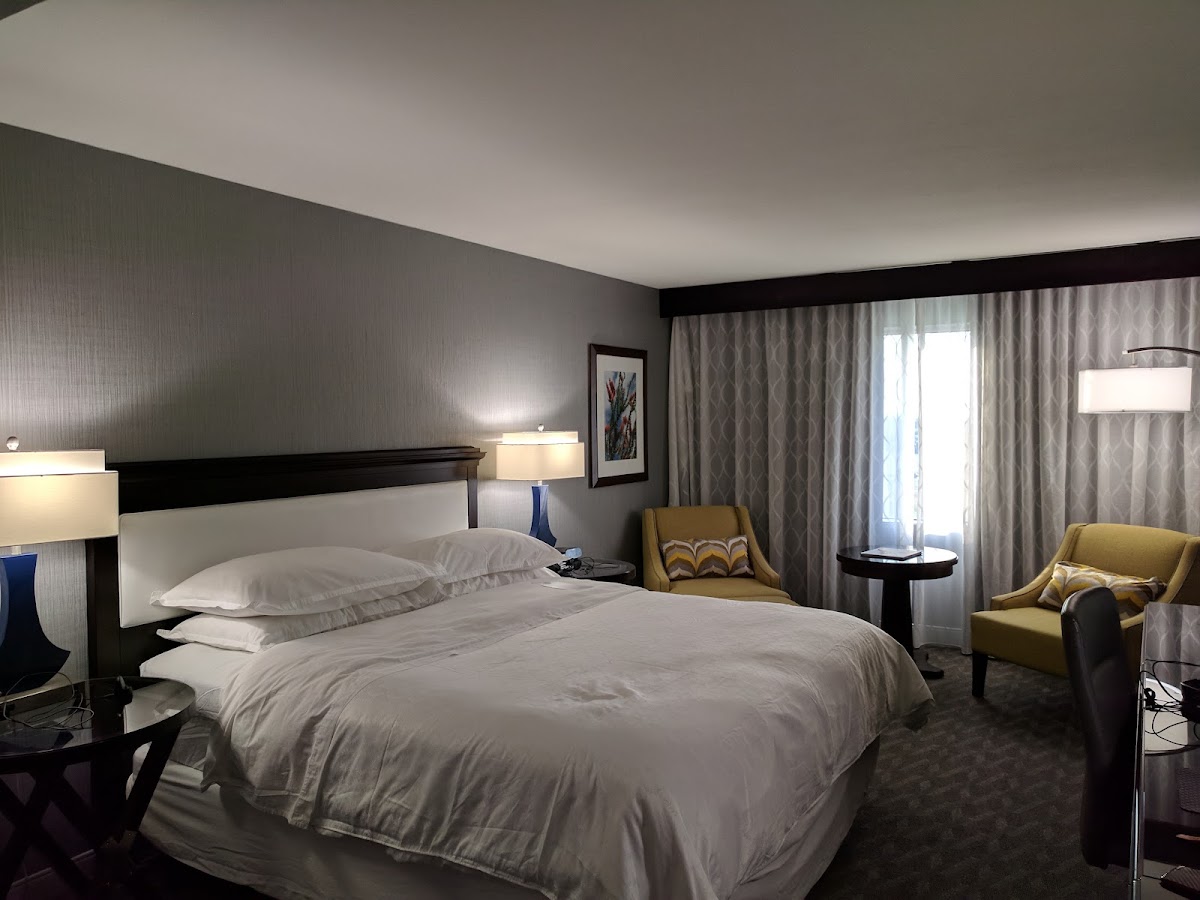 Sheraton Arlington Hotel