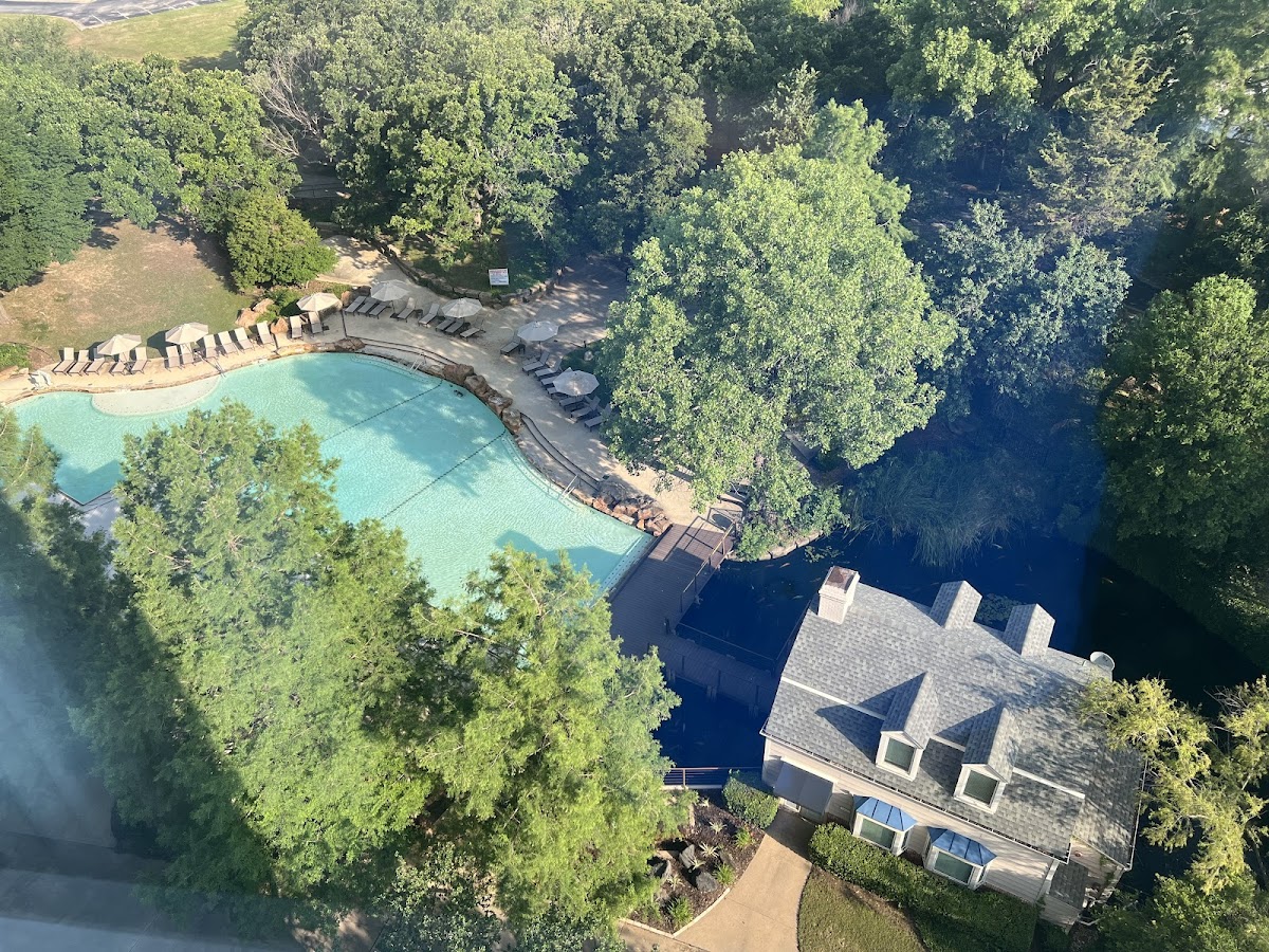 Sheraton Arlington Hotel photo 2