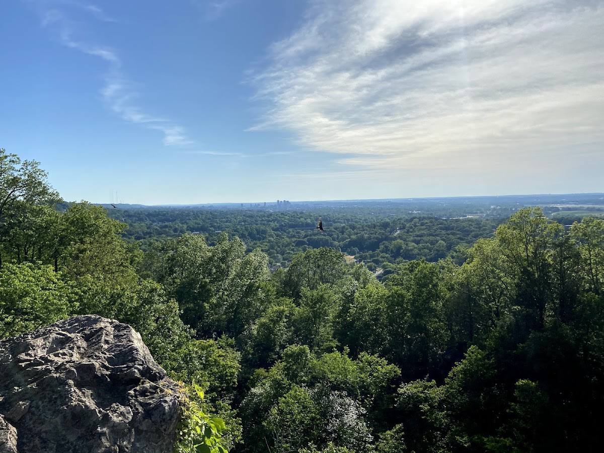 Ruffner Mountain