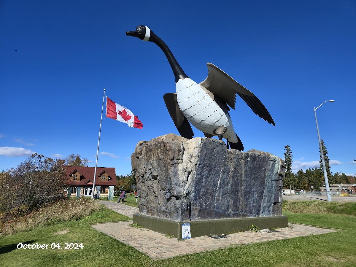 Wawa Goose