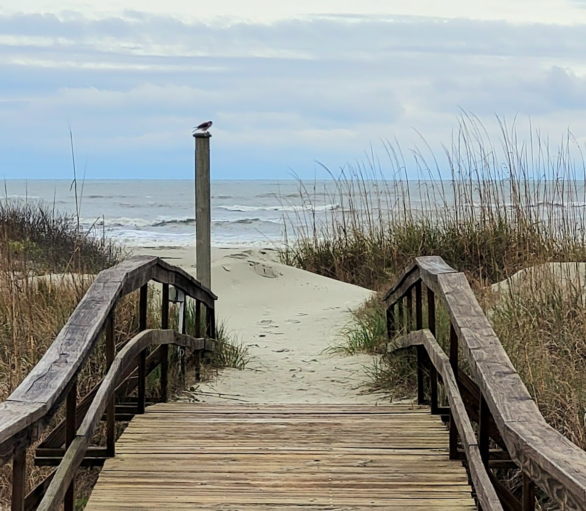 Fripp Island