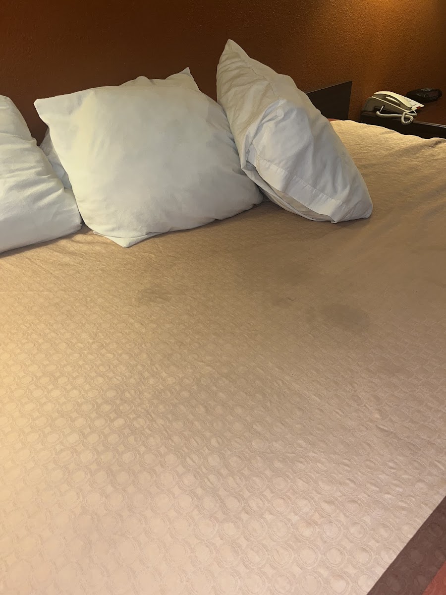 Super 8 by Wyndham Dallas South photo 3
