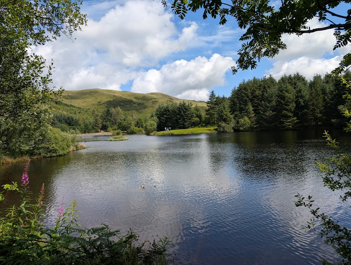 Bwlch Nant yr Arian
