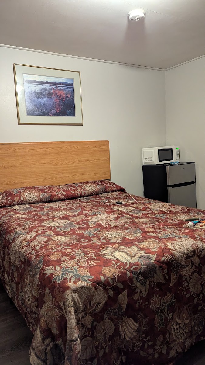 Lone Pine Motel photo 2