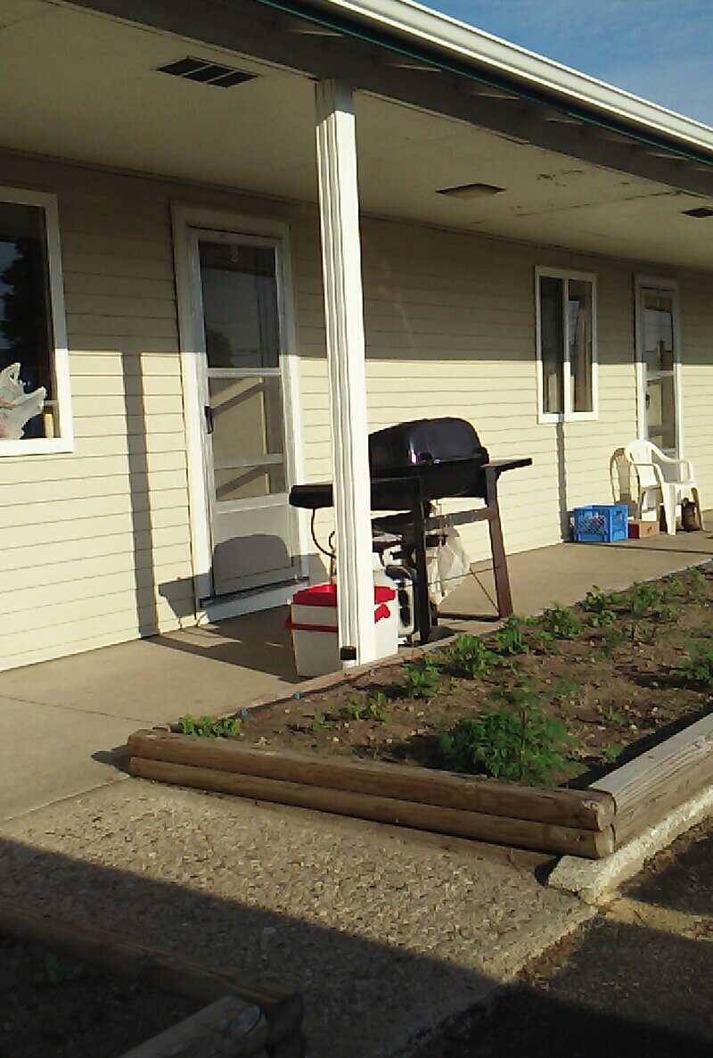Lone Pine Motel photo 3