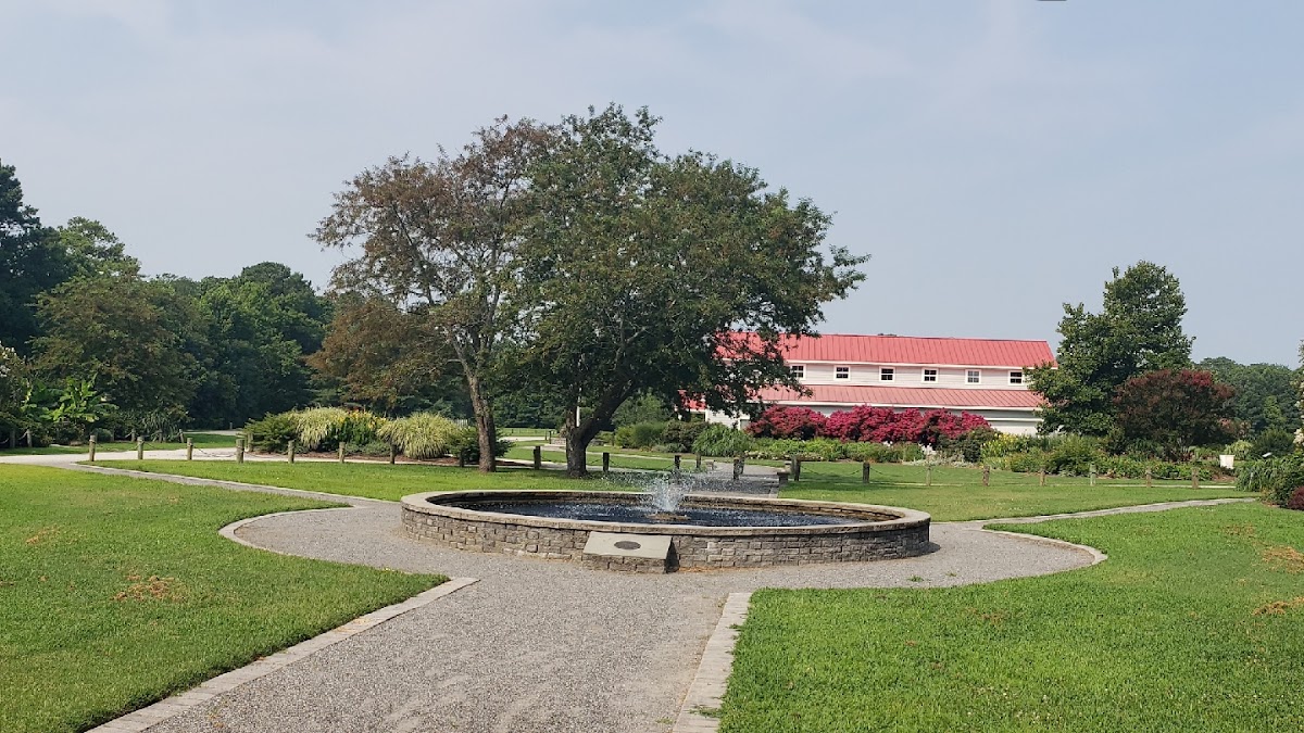 Deltaville Maritime Museum & Holly Point Nature Park