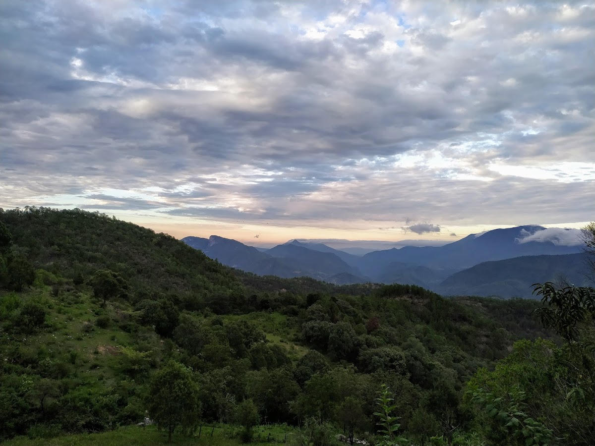 Reserva de la biosfera Sierra Gorda Guanajuato