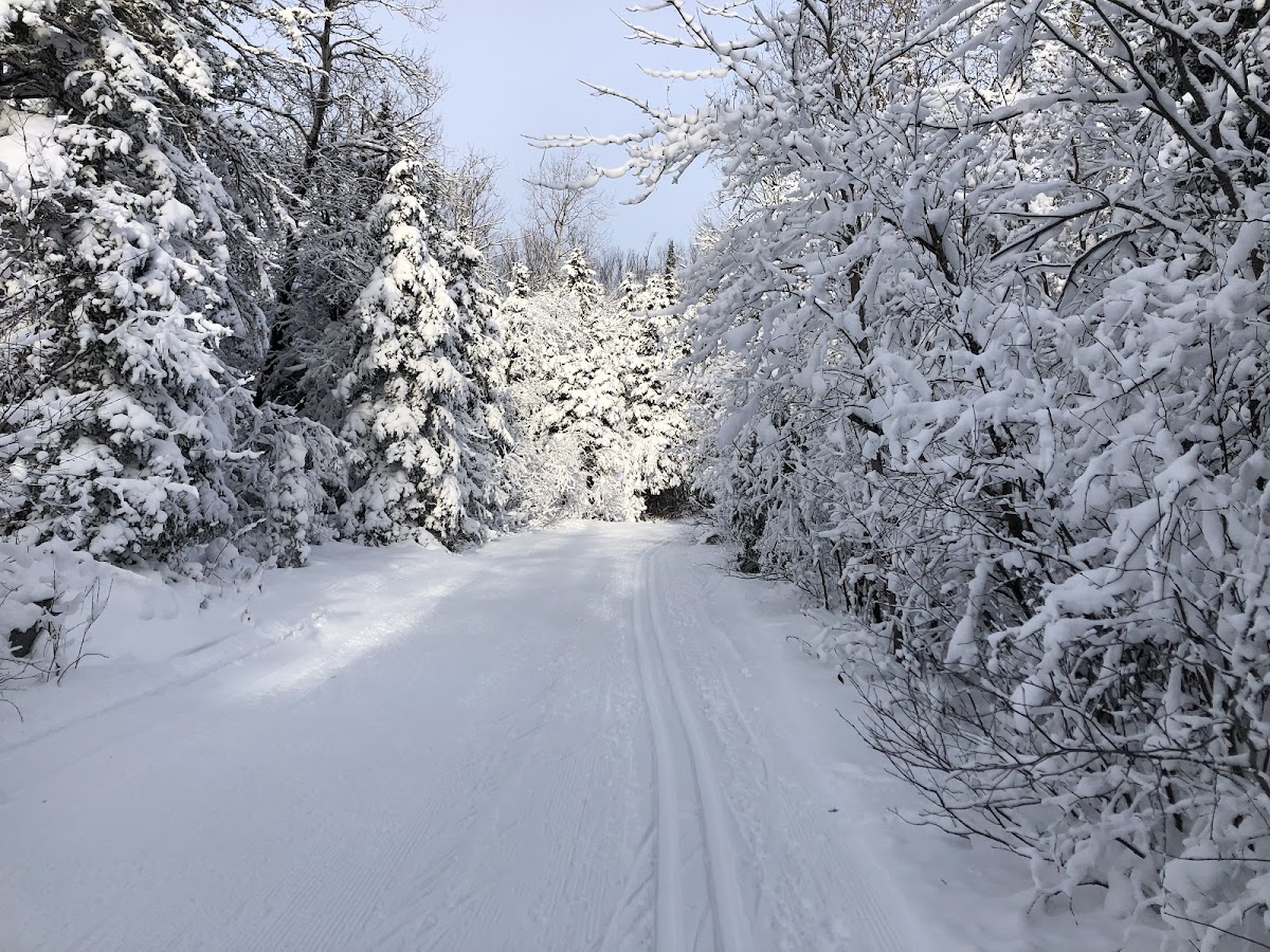 ABR Trails Foundation