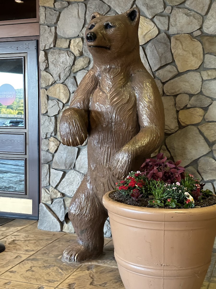 Chukchansi Gold Resort & Casino photo 3
