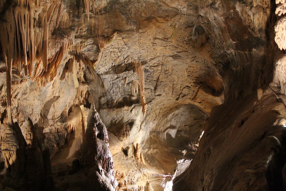 Toirano Cave