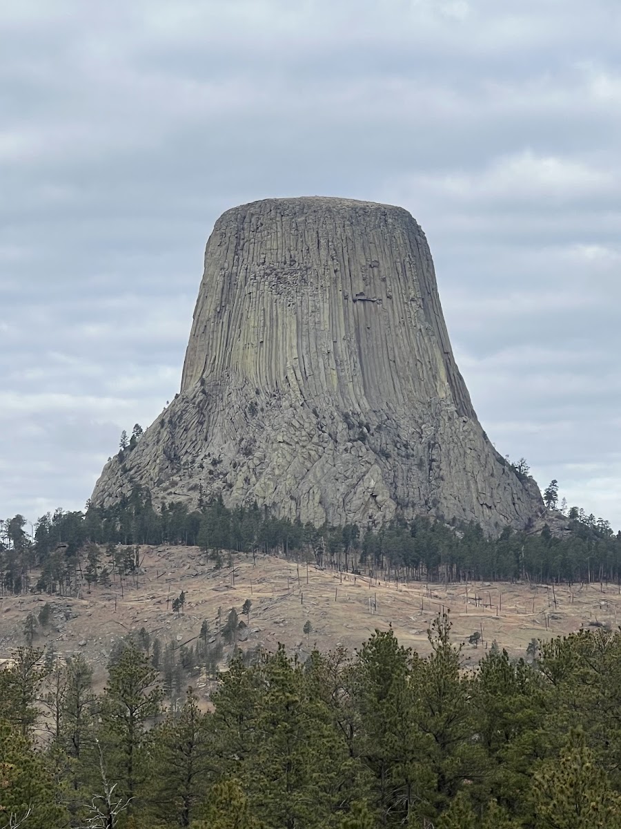 Bear Lodge Mountain