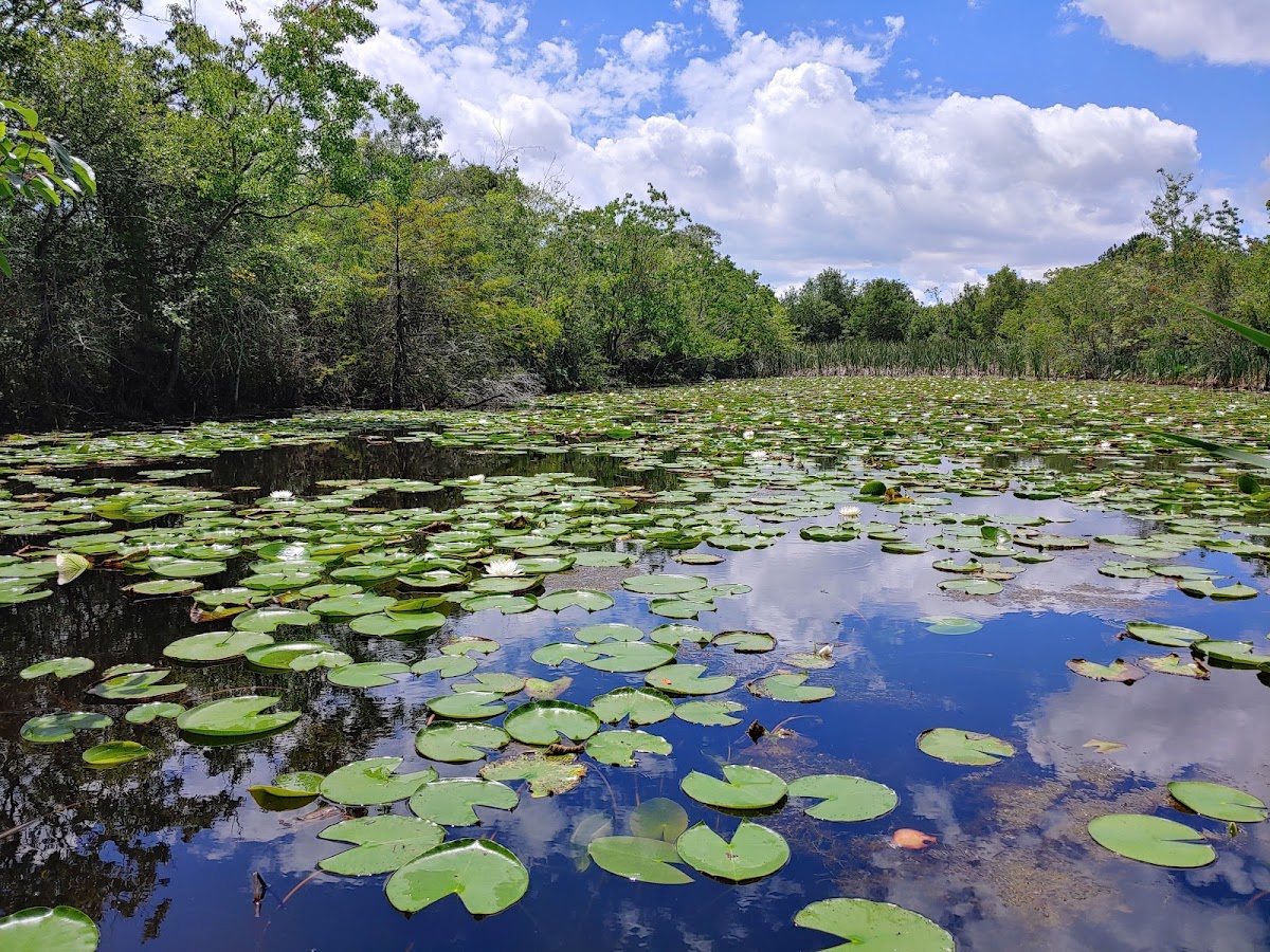Sheldon Lake State Park & Environmental Learning Center