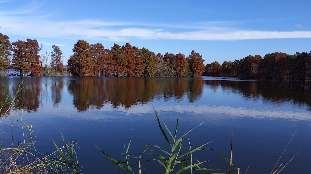 Sheldon Lake