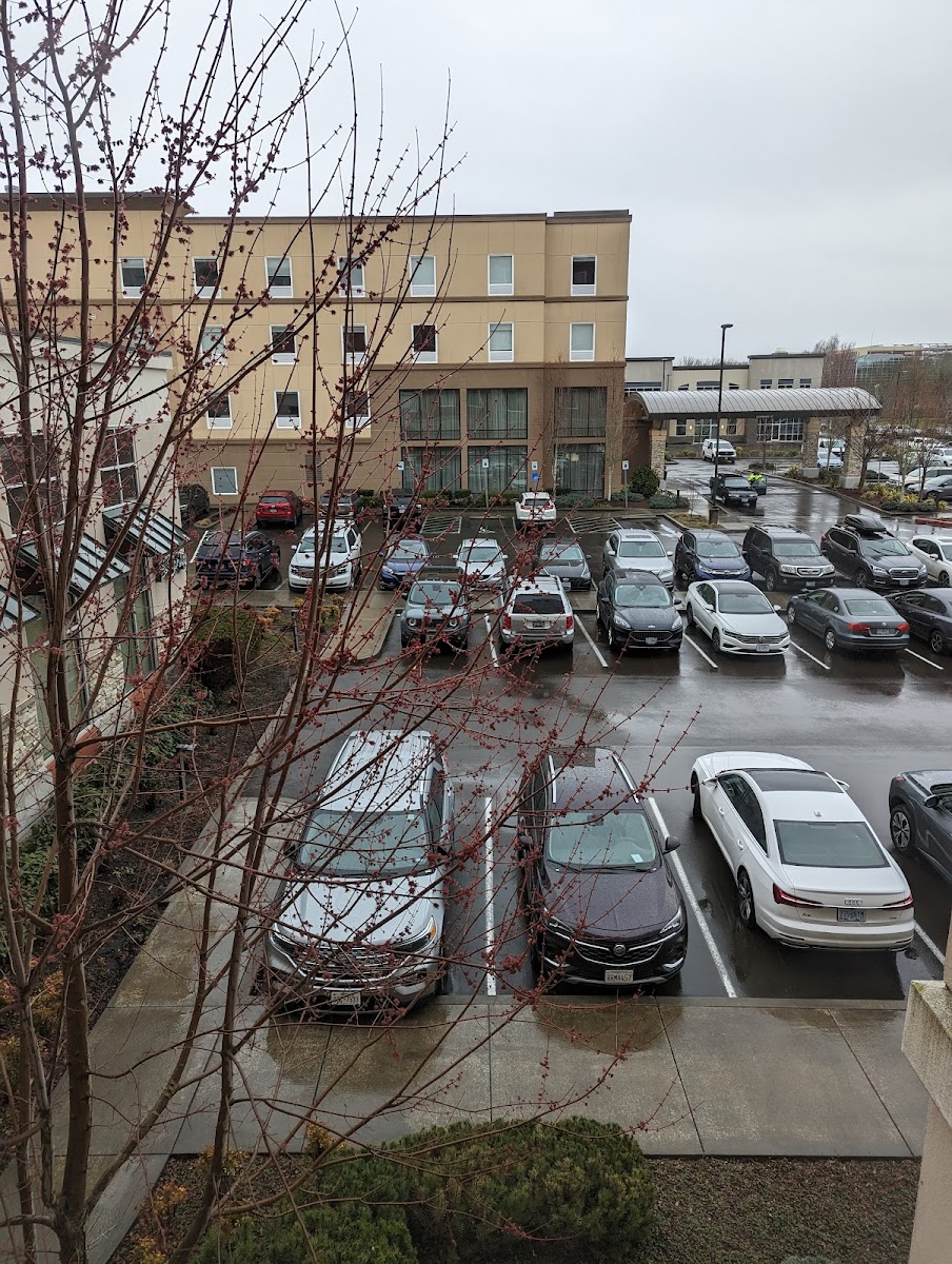 Hampton Inn & Suites Portland/Hillsboro-Evergreen Park photo 3