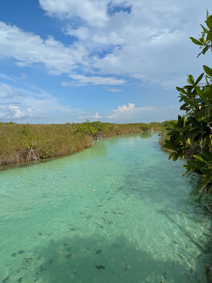 Reserva de la Biósfera Sian Ka'an