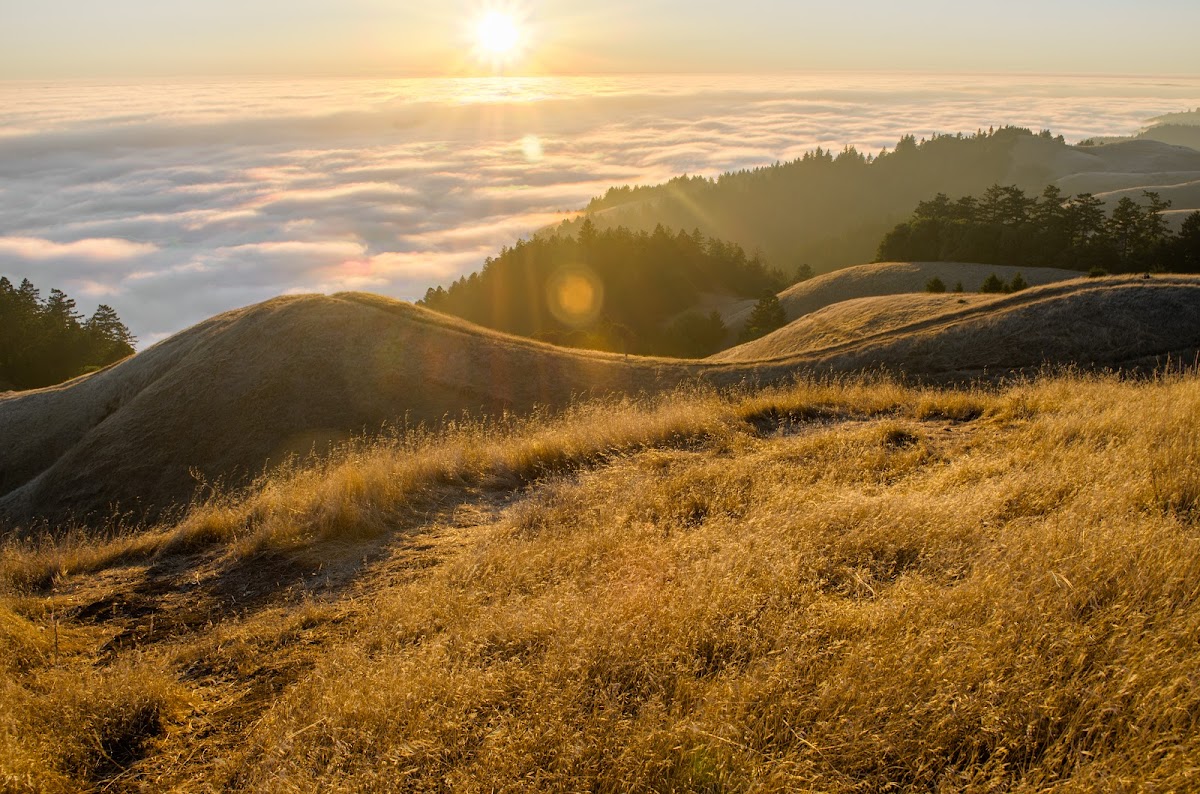 Mt Tamalpais