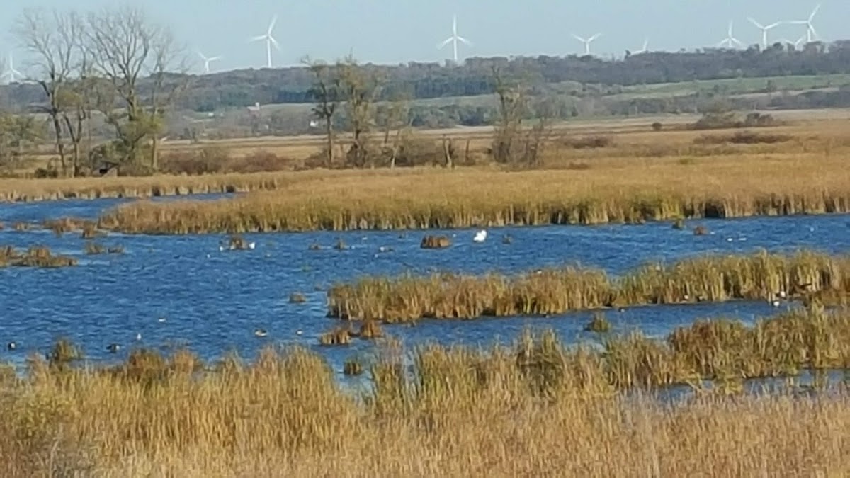 Horicon National Wildlife Refuge