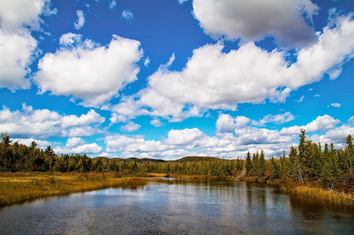Grass River Natural Area