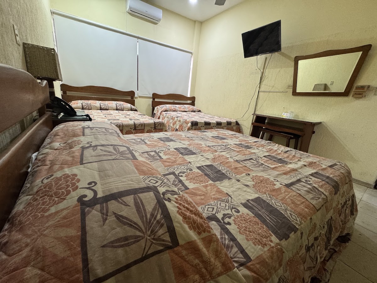 Hotel Rex photo 3