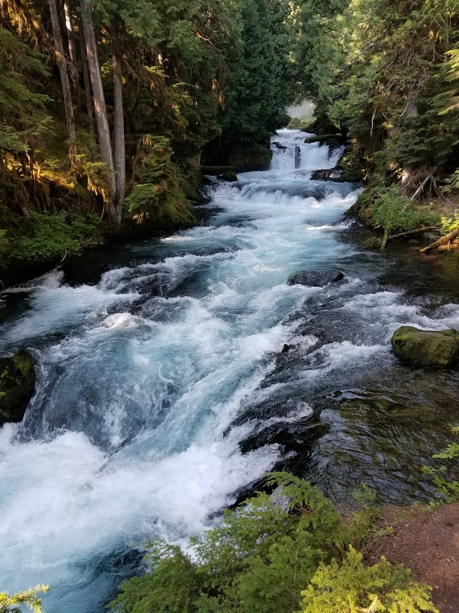 McKenzie River Trail