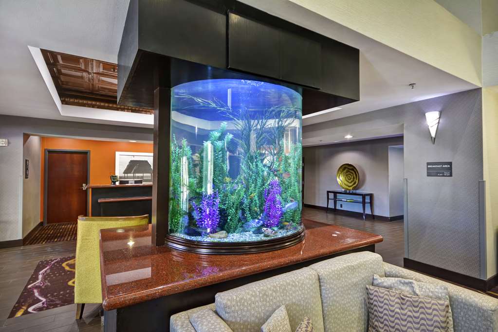Hampton Inn & Suites Corpus Christi I-37 - Navigation Blvd. photo 2