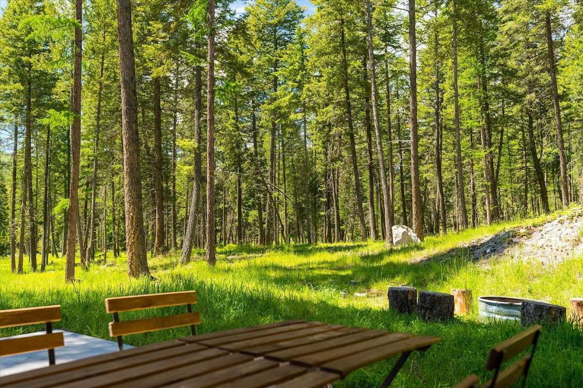 Stoner Creek Cabins photo 3
