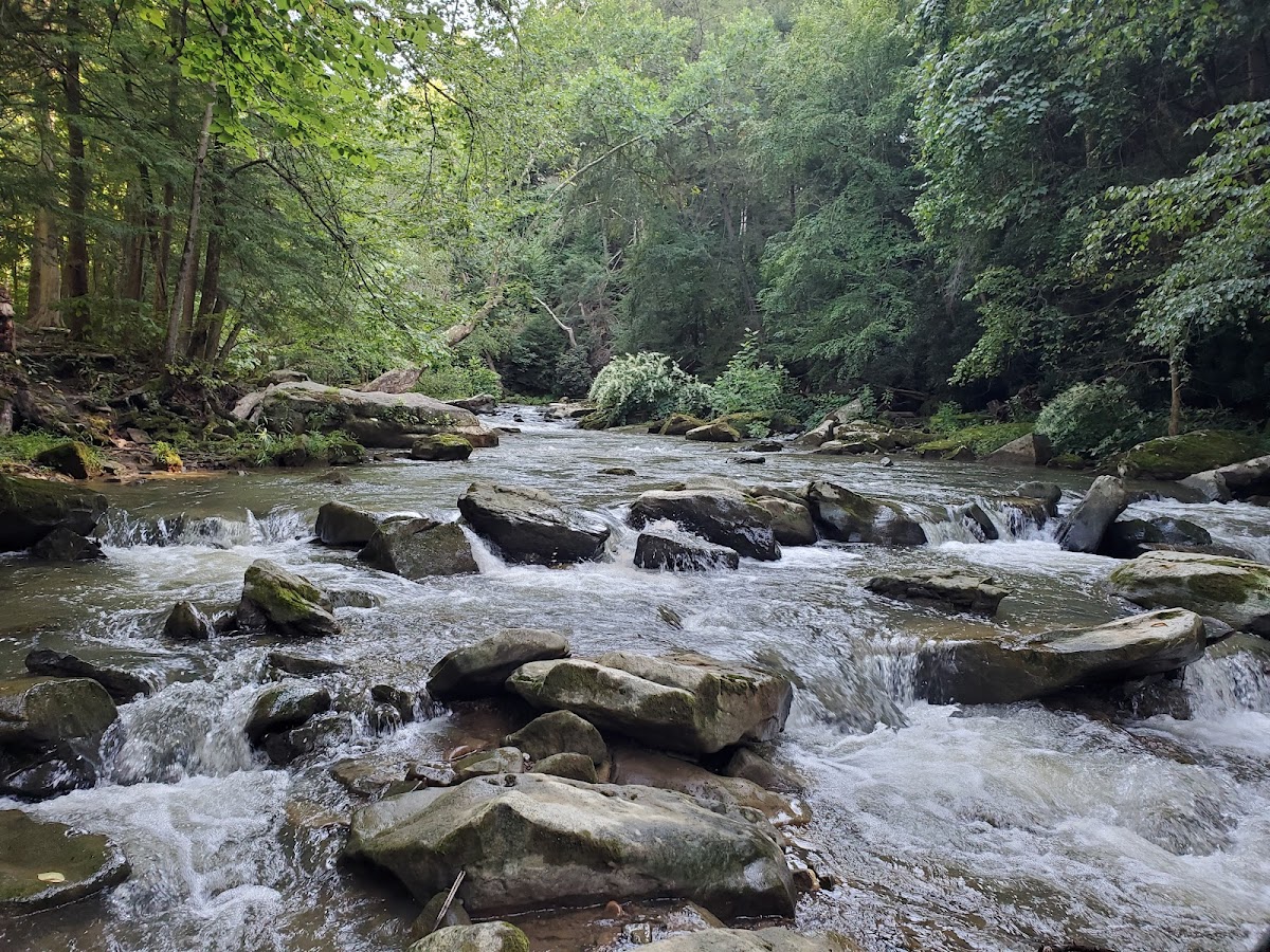 Buttermilk Falls