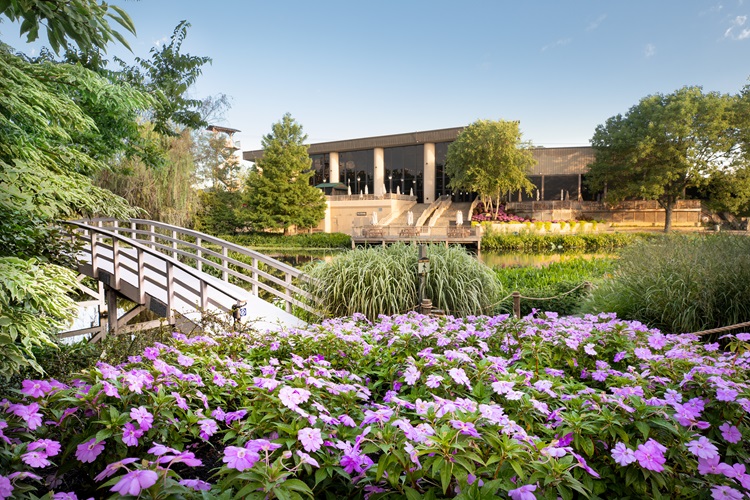 Creation Museum