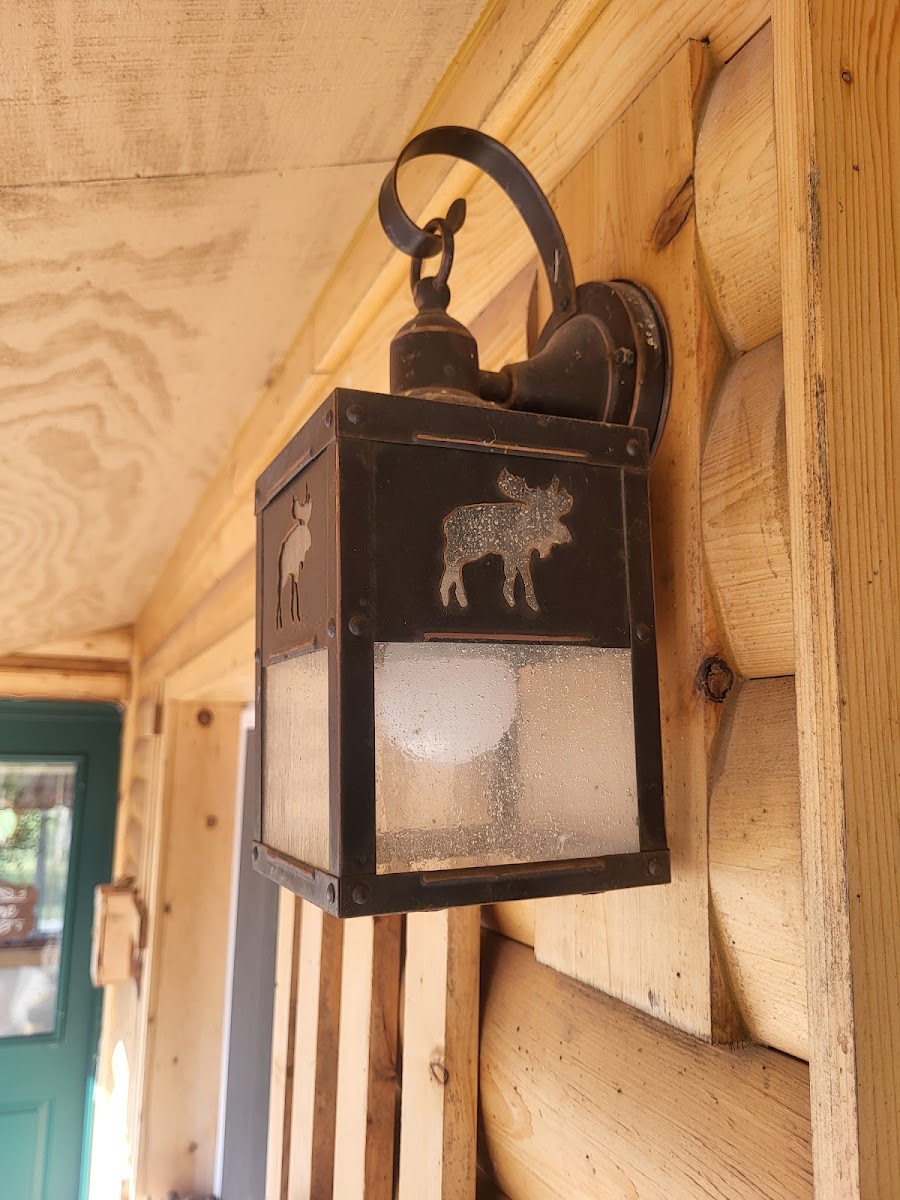 Moosewood Inn photo 2