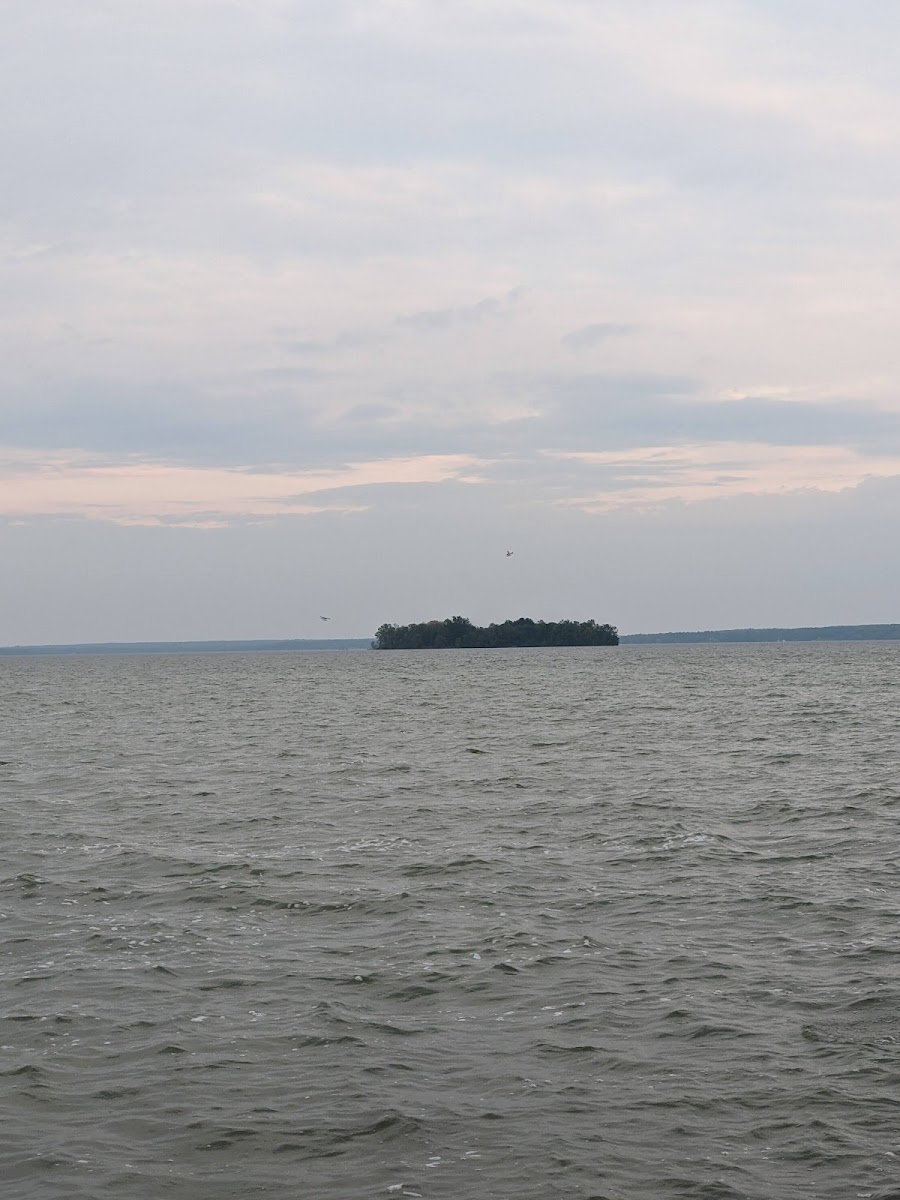 Manistique Lake