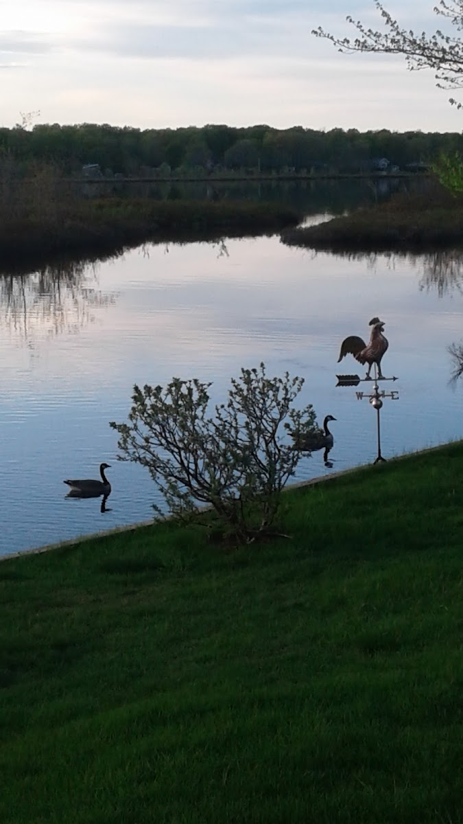Lac aux Canards