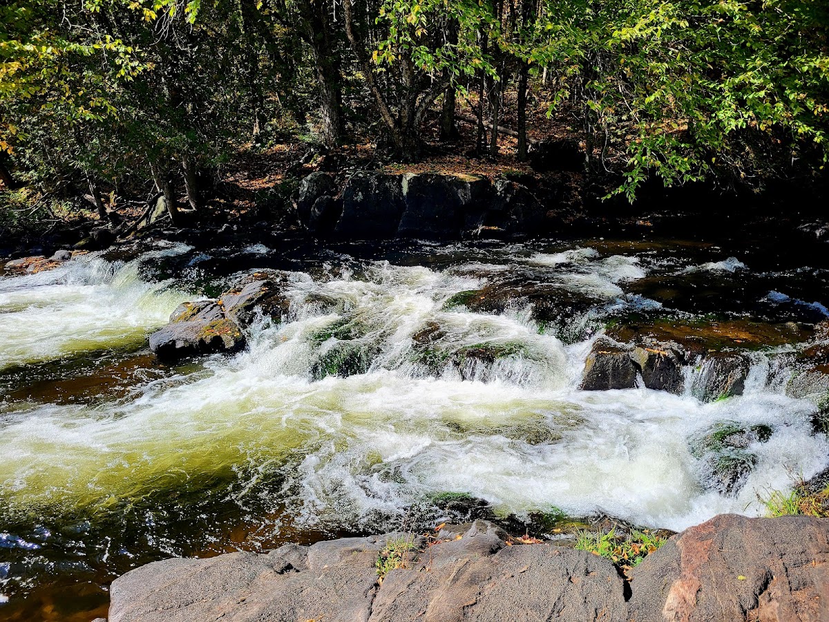 Bagley Rapids