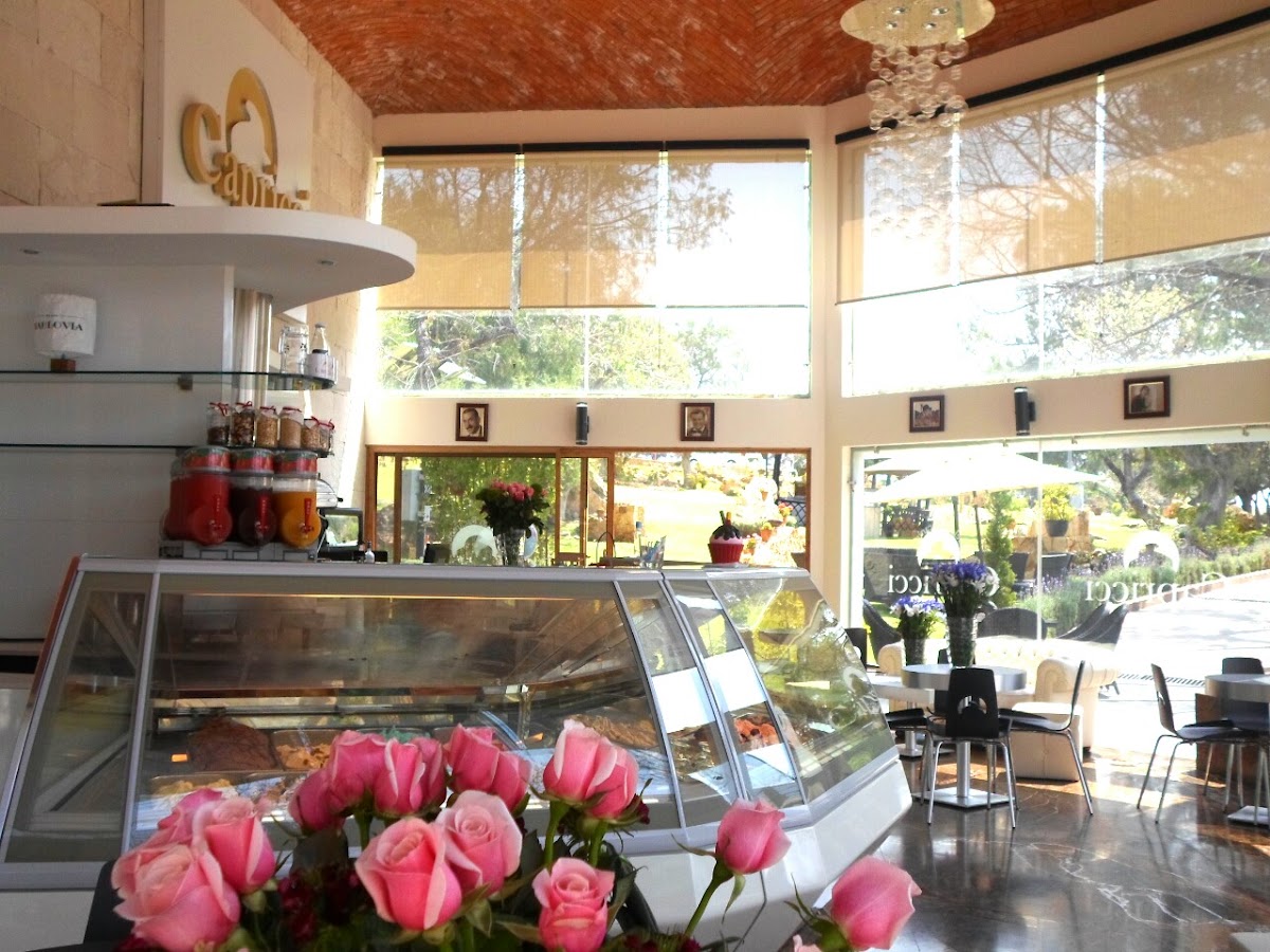 Hotel Boutique Matea Inn (De lujo) photo 2