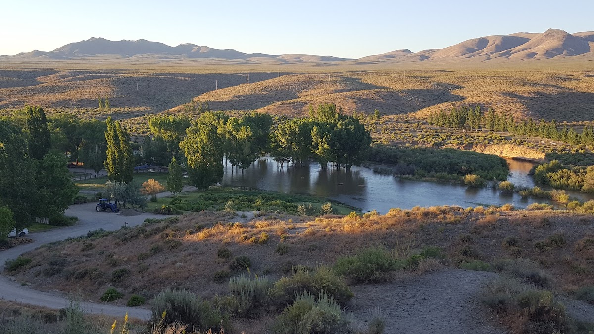 Walker River Resort photo 3