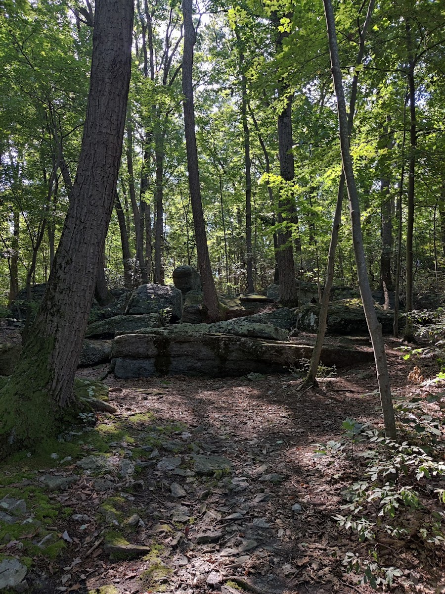 Rocky Ridge Park