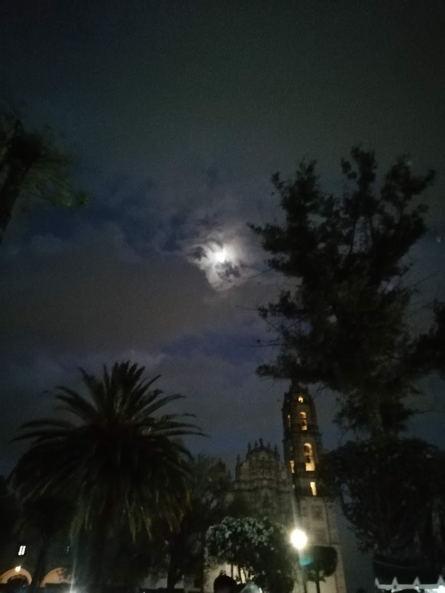 Hotel La Flor photo 3